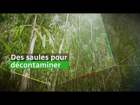 Image de prévisualisation YouTube