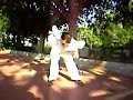 Chen taichi joints exercise