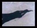 Video that you shouldnt see... Video that you shouldnt see...