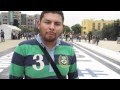 Chihuahua #SOS132