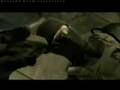 Re: Re: Metal Gear Solid: Bad Johnny