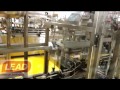 marocan oil line  - filling and capping. - filling machine and pump spray capping 
