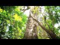 Turismo en Paraguay - Tenés que sentirlo. - YouTube