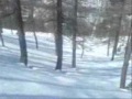 Arran Skier 2007