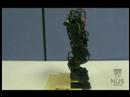 NUS Humanoid Robot - Genus