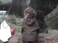 babies-gorilla-and-human-babies-playing.html