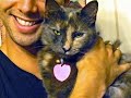 Ophelia, my magic Manx