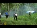 Disappointing pace of peace in Aceh - 26 May 2008