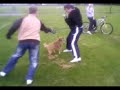 Meat being attacked my Mr Testicles Meat being attacked my Mr Testicles