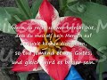 Traurigkeit