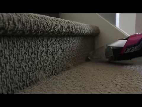 Product Demonstration - BOLT® XRT PET 2-in-1 Lightweight Cordless Vacuum 1315