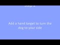Trick Tutorial; Backing around Handler