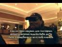 AFRICA BAMBATAA  INTERWIEV,  PUBLIC ENEMY ЕПИЗОДА 10
