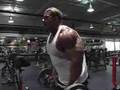 Jay Cutler