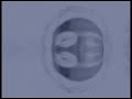 ACT-5-d3+=5 cyberpirates lsd hardtekno rave anarky psiko
