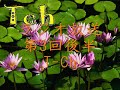 ラジオ「T-Ch」 第3回放送 後半