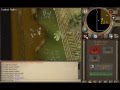 videos de Jungle Demon - Guide for pures - Monkey Madness