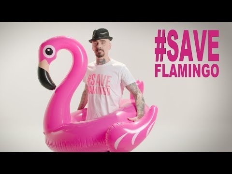 J-Ax: #SaveFlamingo, difendi i fenicotteri rosa