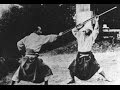 Togakure Ryu Ninpo Tai Kai 2009 - 戸隠流忍術