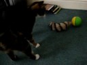 meelo n her \ meelo n her \