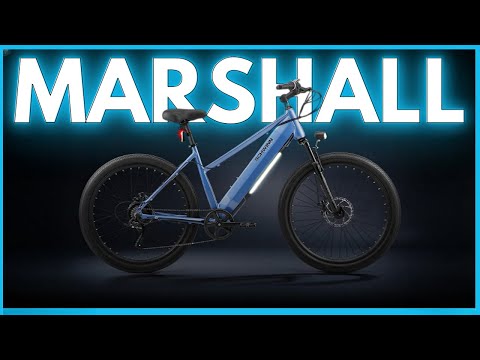 schwinn throttle bike