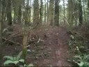 St Andrews Freeride: Haldon 3D\ St Andrews Freeride: Haldon 3D\