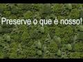 Meio Ambiente