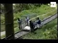 Dos osos de anteojos buscan refugio en Machu Picchu .