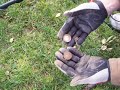 Whites MXT Metal Detecting Finds (Washington & Sacajawea Dollar Coins-Roosevelt Park)