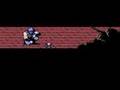 Ninja Gaiden Game Review (Nes/Wii)