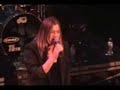 teledysk, klip, Rusted Root,- Tree