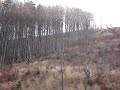 takie podjazdy mamy 2 szczyty od szczyrku