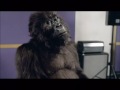 Cadbury's Gorilla 60 second commercial