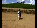 Lajos Kassai Horsemanship & Bareback Mount Lajos Kassai Horsemanship & Bareback Mount