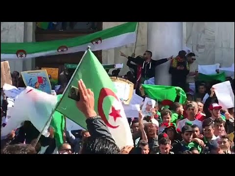 Algerien: Proteste gegen Prsident Bouteflika werde ...