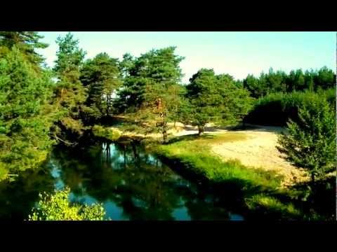 Zobacz wideo