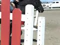 bk pony changes.MOV