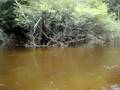 Rio Itapara