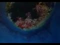 Amon Tobin - Slowly