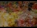 Amon Tobin - Slowly