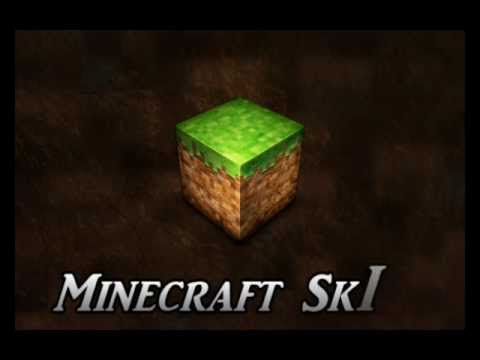 how to change your skin in minecraft sp