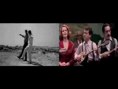 Mira el Vídeo