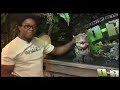D-REX BECOMES AGRESSIVE D-REX BECOMES AGRESSIVE