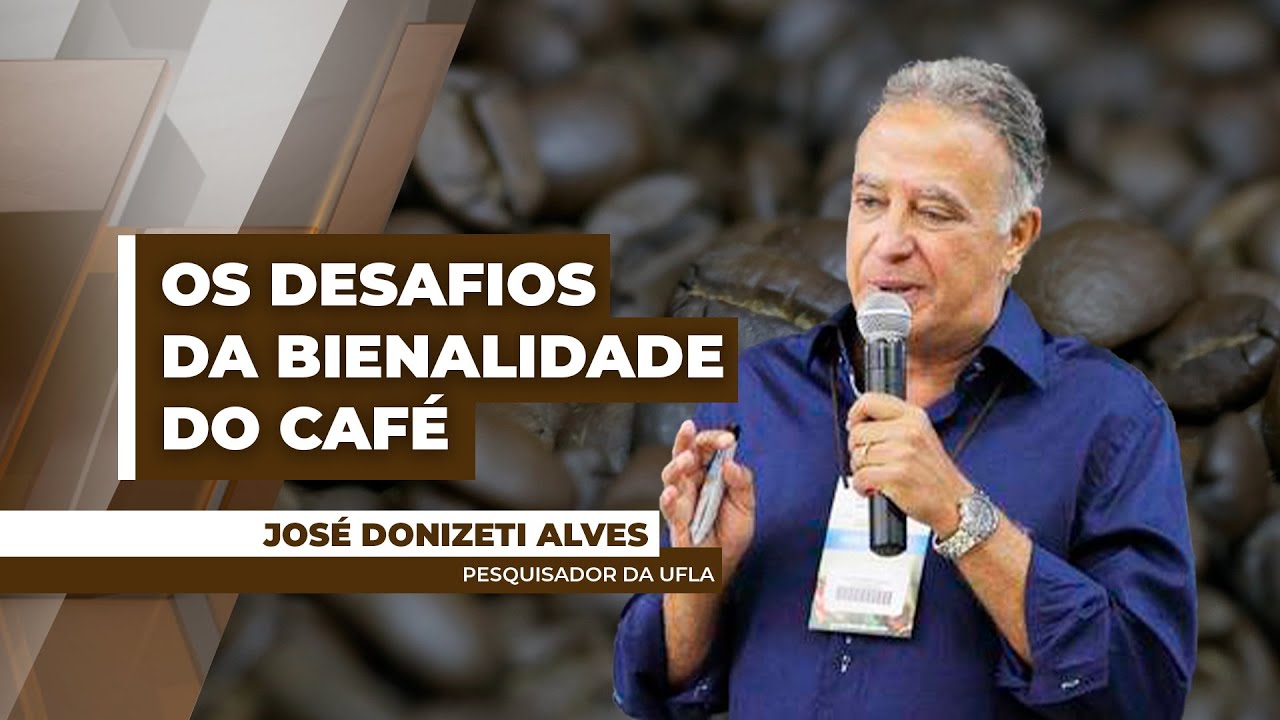 Clima adverso vem afetando a bienalidade do café brasileiro