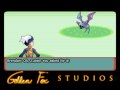 Wild Pokémon Encounter