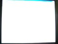 Work From Home FREE FAST CASH PROOF !!!!!!!!