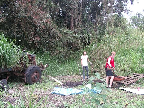 Vídeo de Hedonisia Hawaii Eco-Hostel