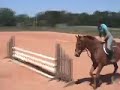 Silverthorn Farm-Benson Silverthorn Farm-Benson