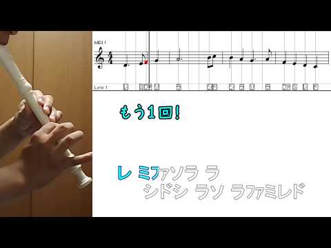 動画