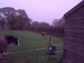 videos de Dorothy(Ferryhill Pipers Song)